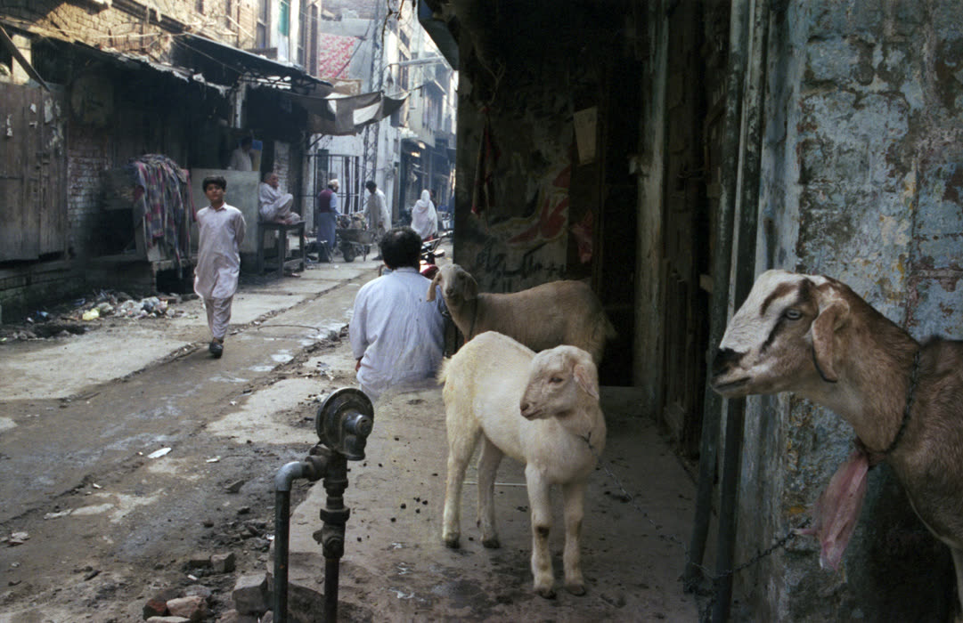 PAKISTAN – analoges Foto von Nicole Muhs (Bild 14 von 51)