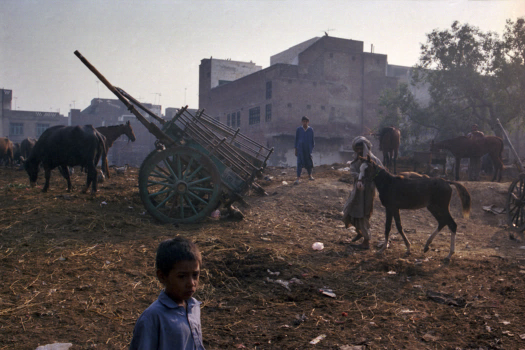 PAKISTAN – analoges Foto von Nicole Muhs (Bild 16 von 51)